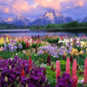 Meet your Posher, Gracie